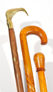 Walking sticks
